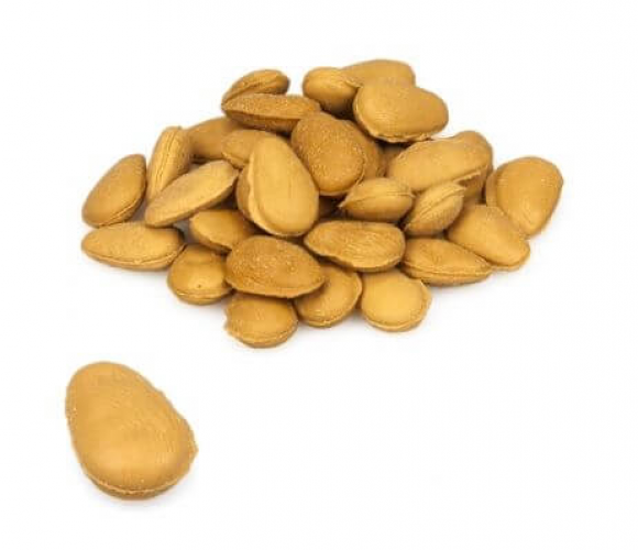 SchuttelaarHaverstro